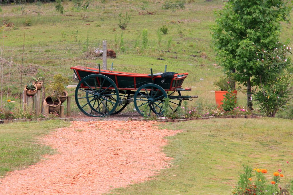 CARROÇA