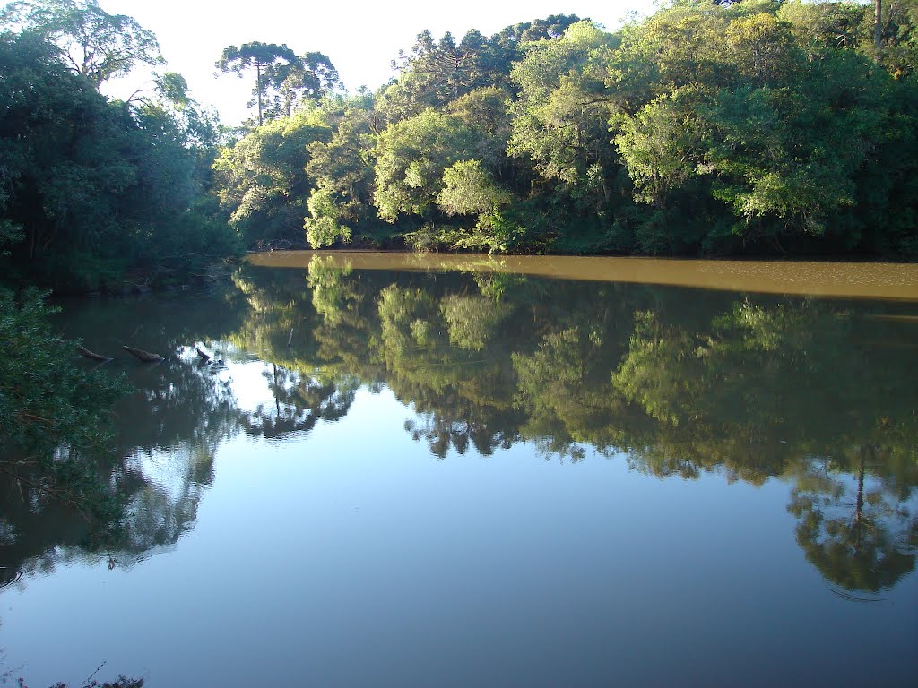Reflexo
