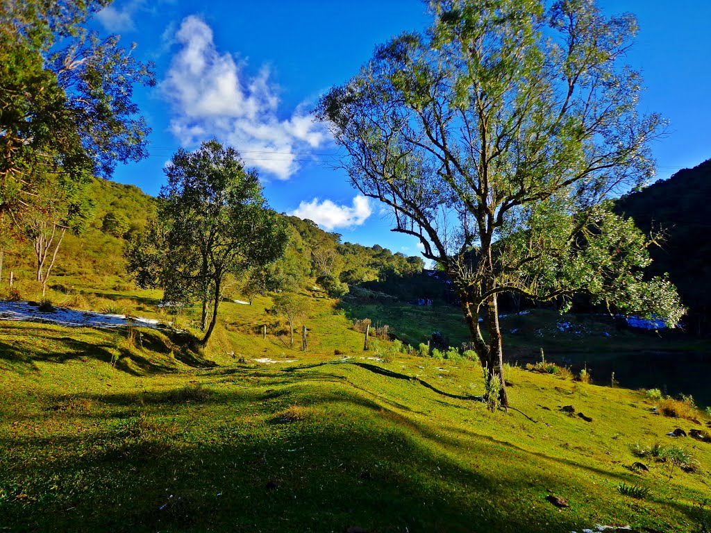Guarapuava