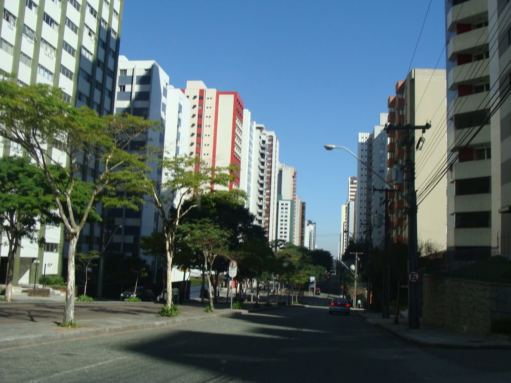 Avenida Padre Anchieta - Bigorrilho em Curitiba - Paraná