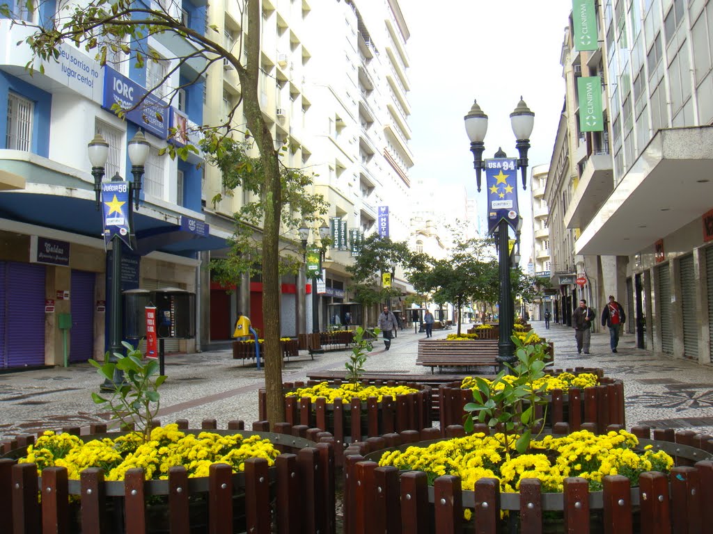 Rua das Flôres - Avenida Luiz Xavier - Curitiba - Paraná - Brasil