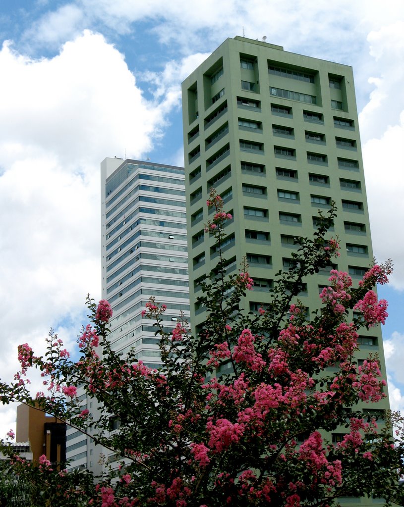 Curitiba, PR, Brasil.