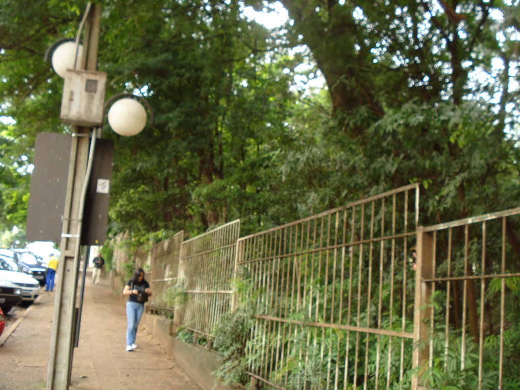 LONDRINA BOSQUE (By JOSÉ CARLOS  FARINA)