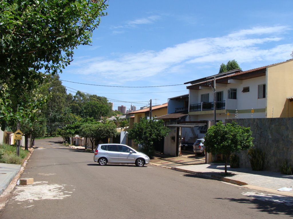 Uma rua - Londrina - PR - Brazil - See more photos at www.panoramio.com/user505354