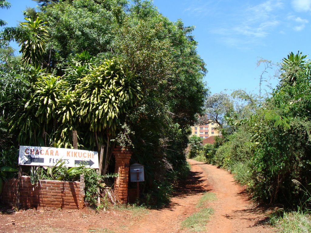Chácara Kikuchi - Londrina - PR - Brazil