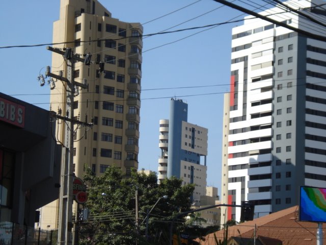 LONDRINA  By JOSÉ CARLOS FARINA
