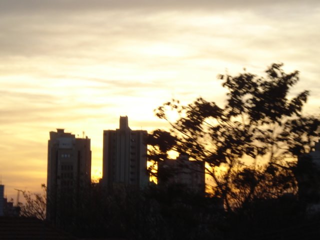 LONDRINA by Farina