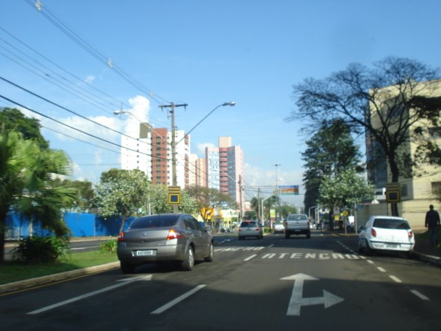 LONDRINA By JOSÉ CARLOS FARINA