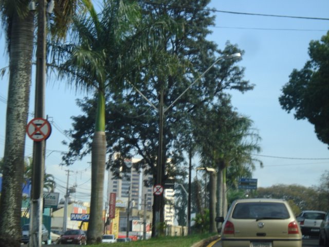 LONDRINA (By FARINA)