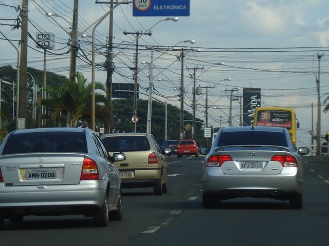 LONDRINA (By FARINA)