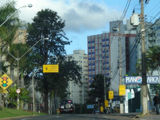 LONDRINA (By FARINA)