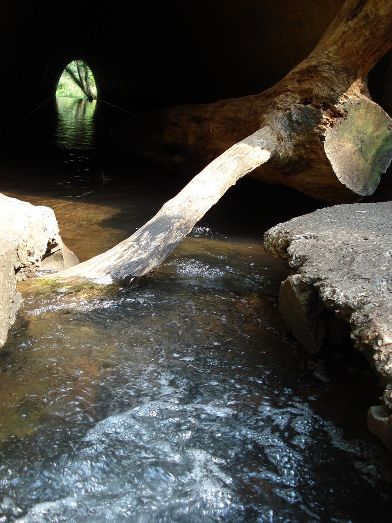 Túnel no Vale - Rua Humaitá