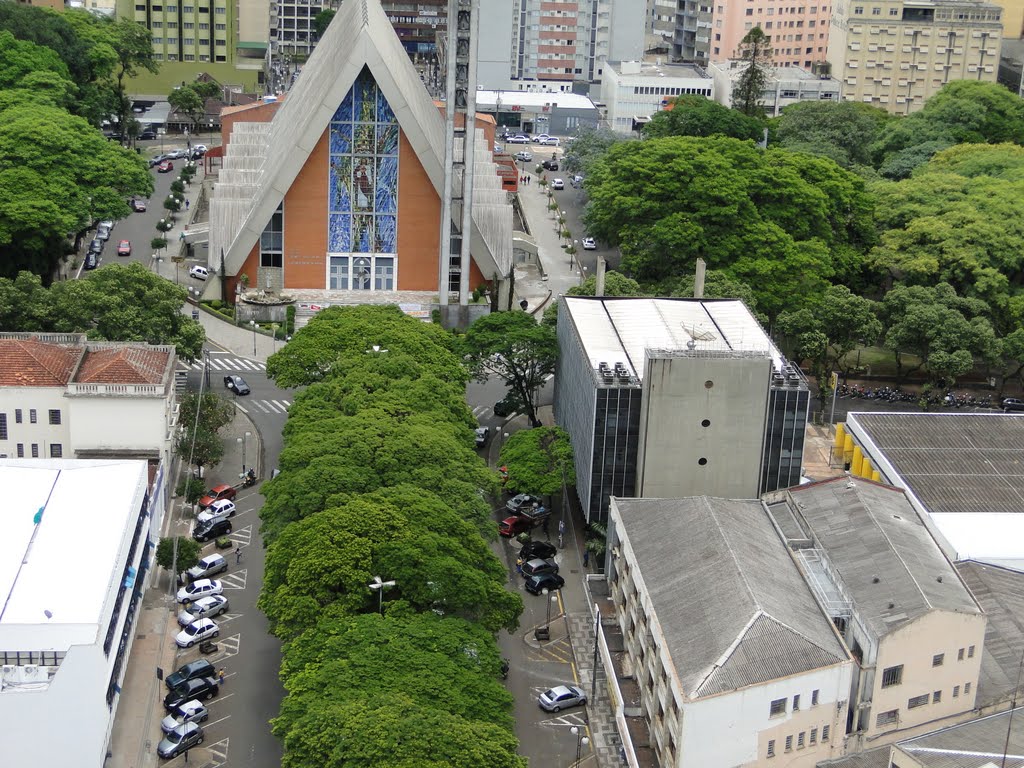 LONDRINA DO ALTO (By FARINA)