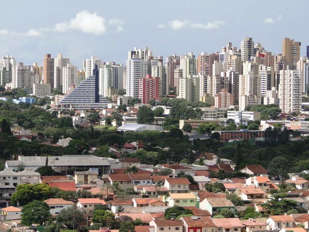LONDRINA by FARINA