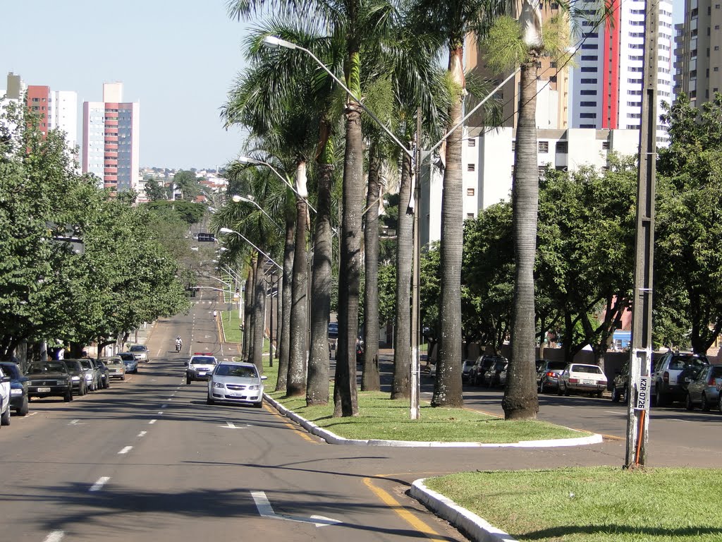 Londrina by Farina