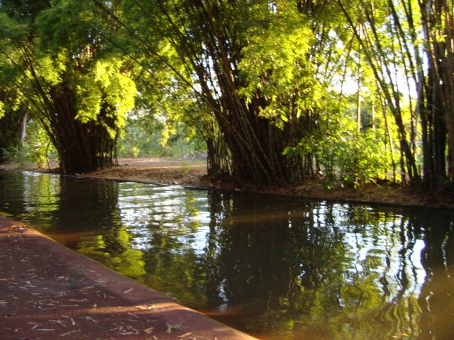 Lago  Igapó - Londrina - Paraná