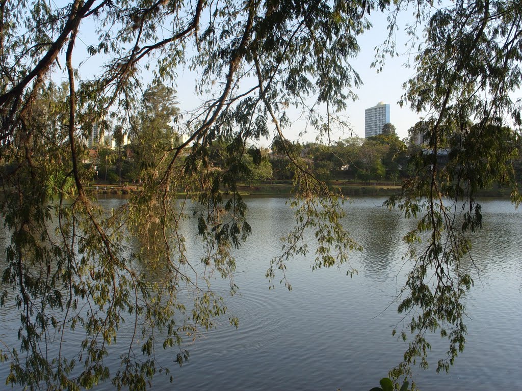 Londrina - PR