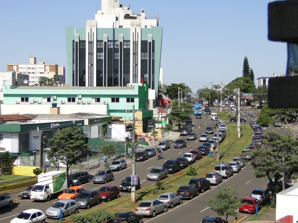LONDRINA  By  JOSÉ CARLOS FARINA