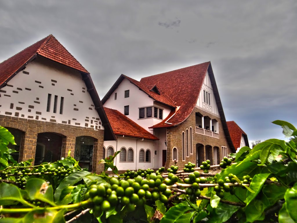 Museu de Londrina - Paraná - Brasil