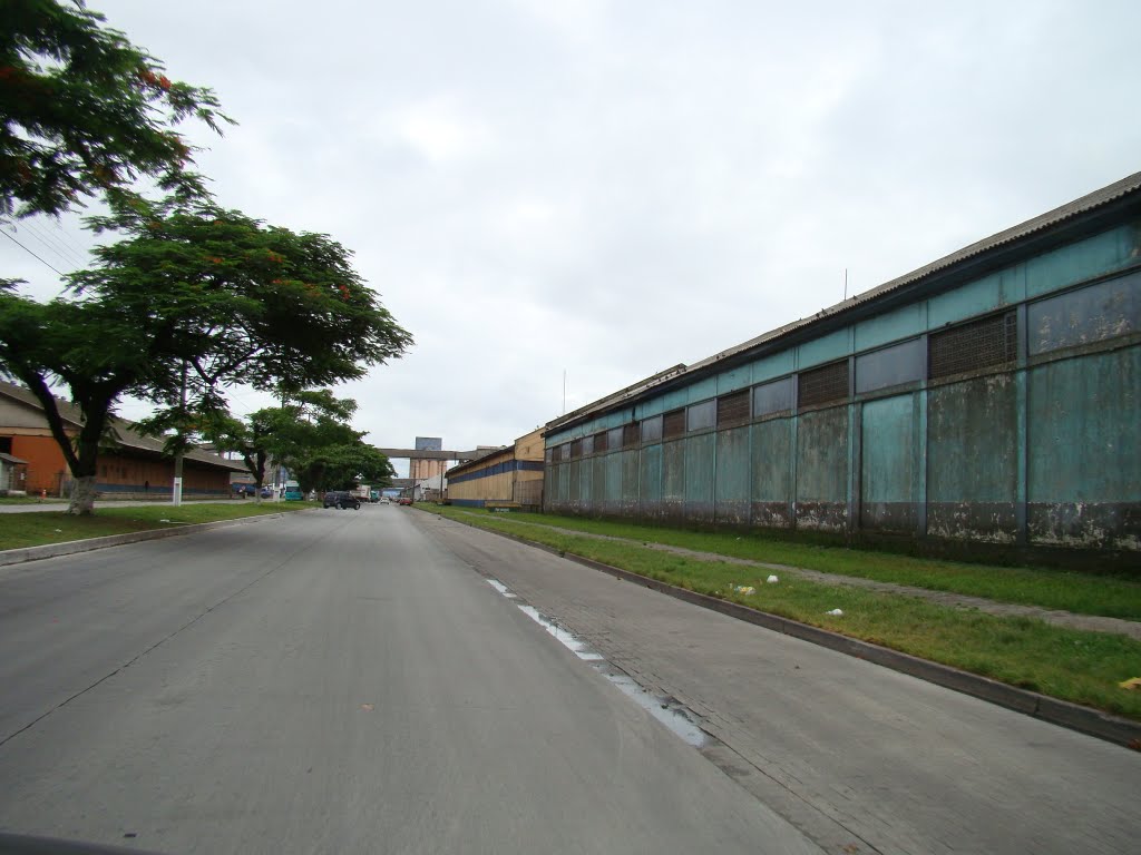 Avenida