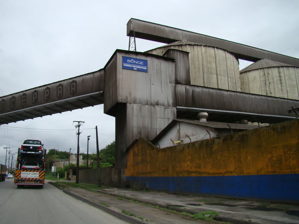 Esteira e Cilos Bunge