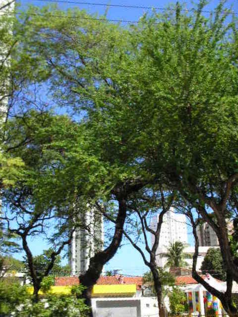 Praça Procurador Pedro Jorge