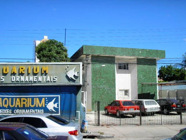Av. Governador Carlos de Lima Cavalcante