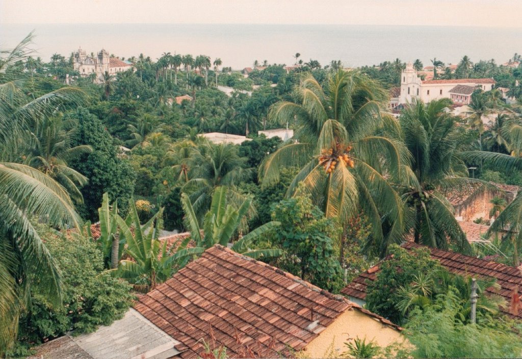 Recife visto desde una loma