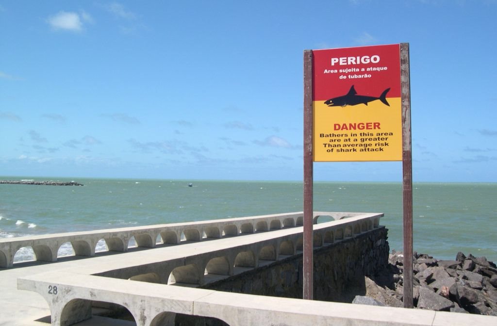 Groins and Shark Warning