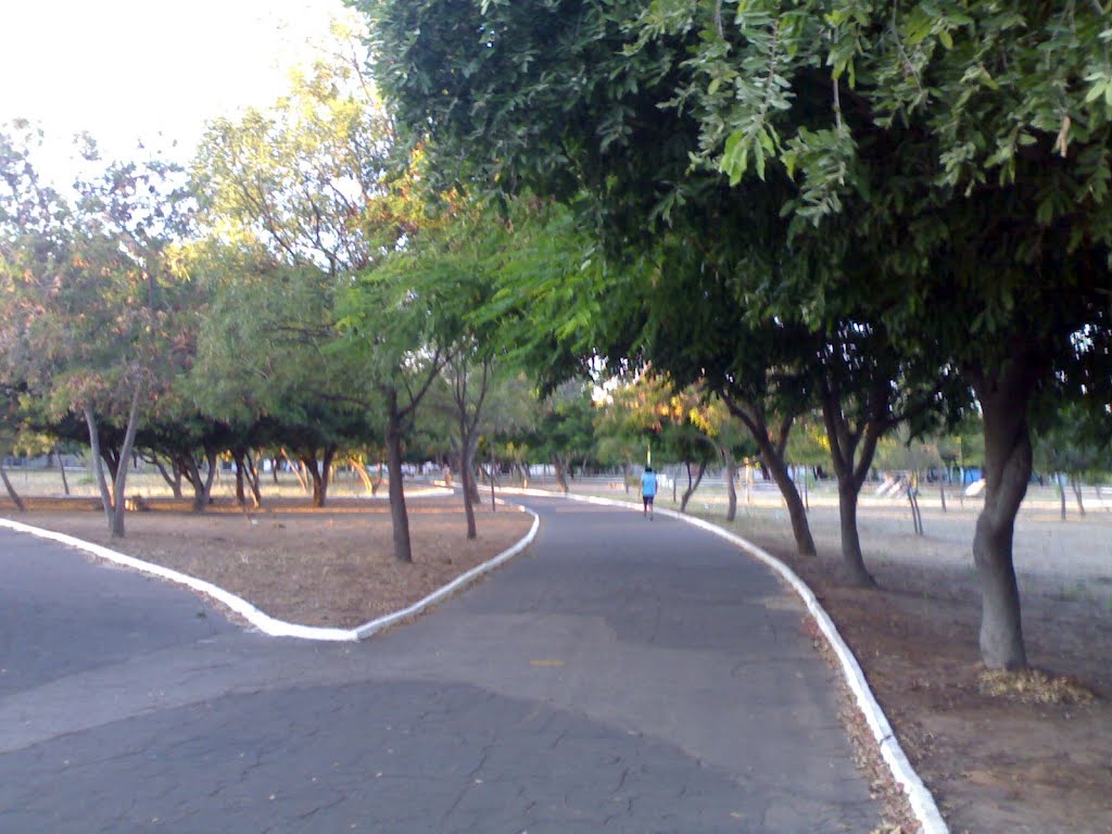 Parque