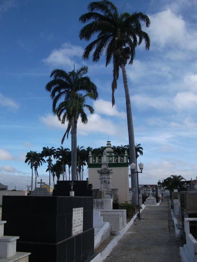 Cemetery - Petrolina, Brazil