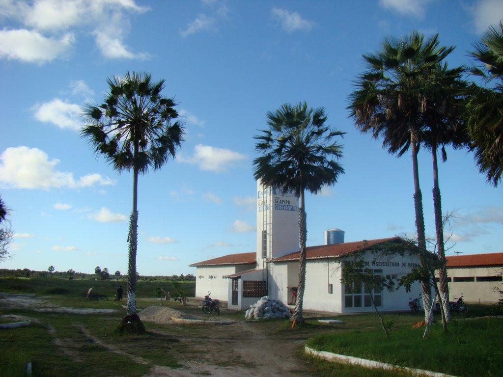 Unidade de Piscicultura de Parnaiba