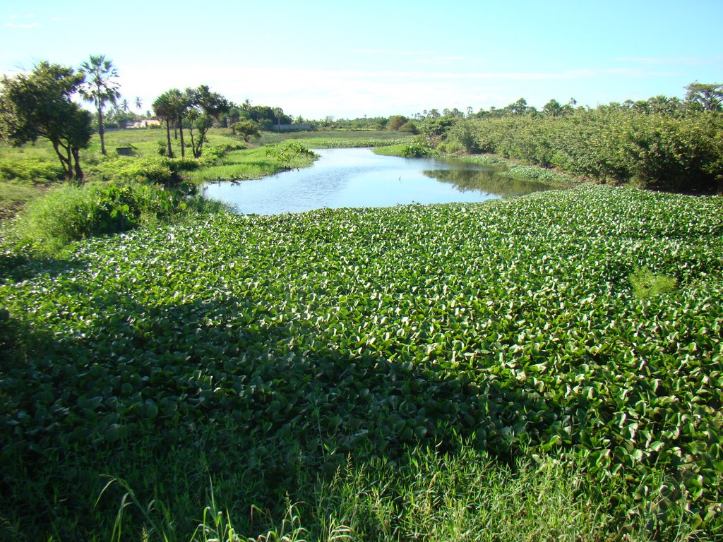 Rio São José