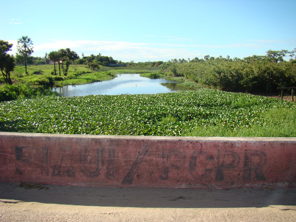 Rio São José