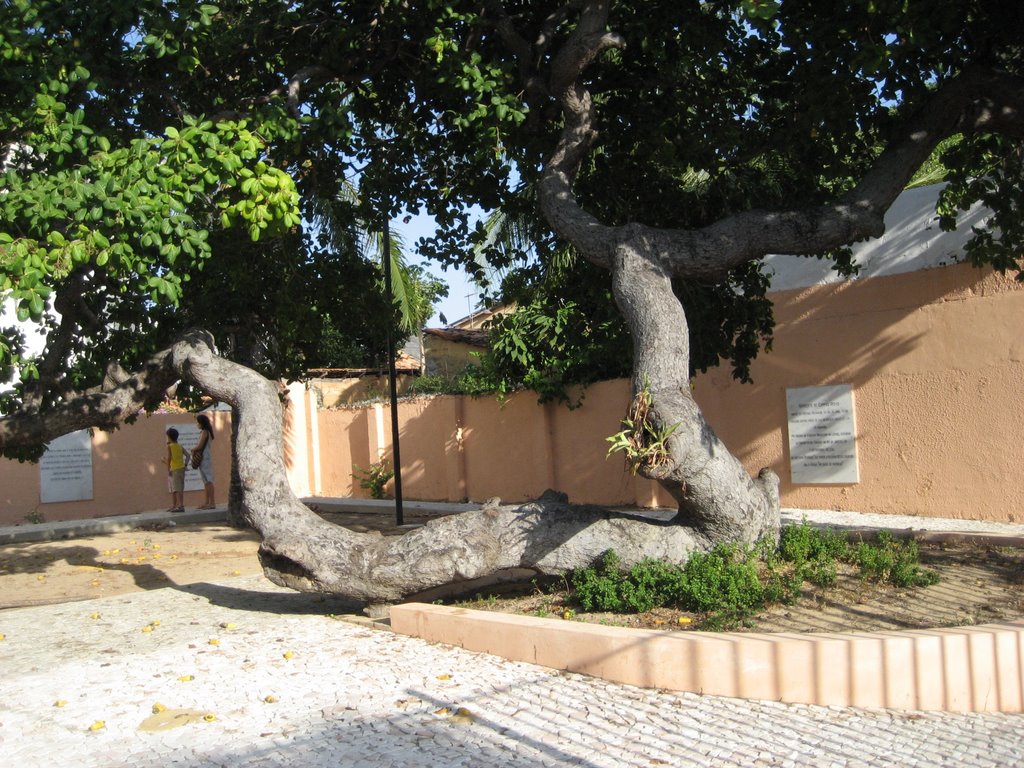 Cajueiro Humberto de Campos