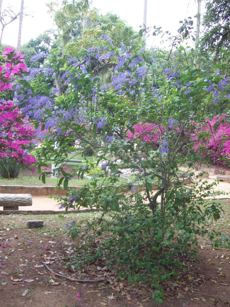 A natureza nos presenteia