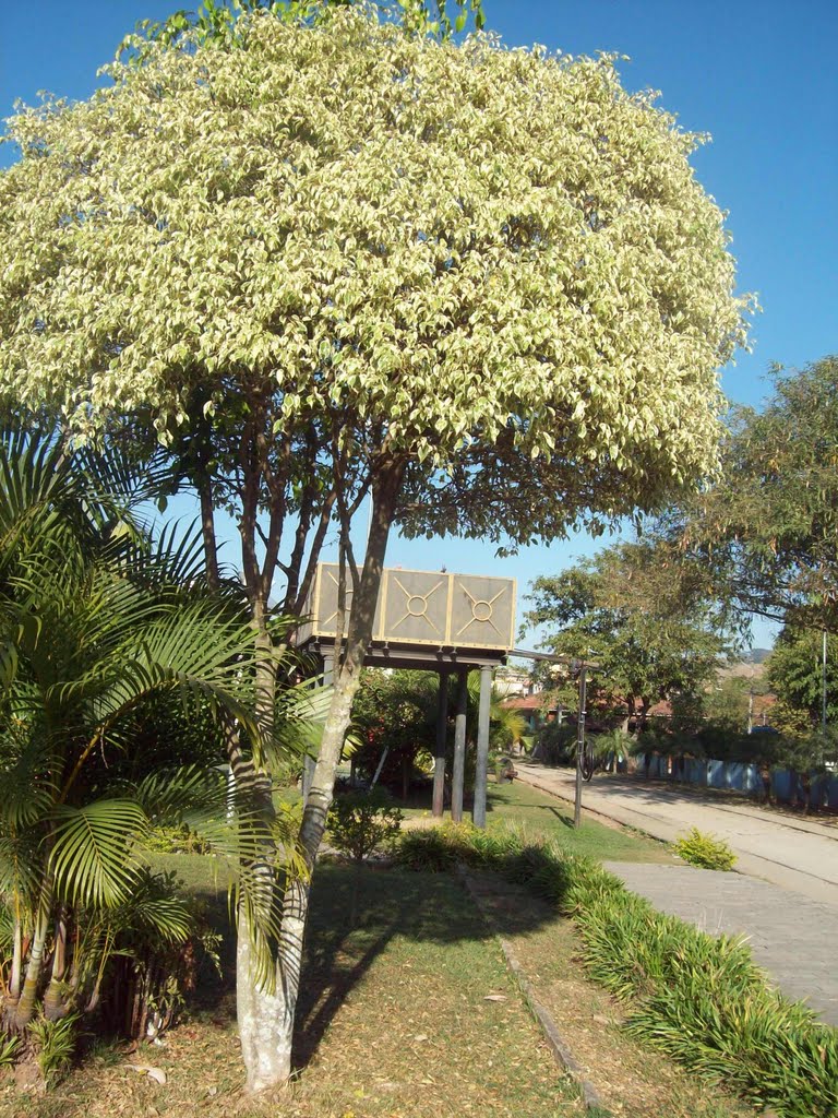Patio da  Estação Ferroviaria