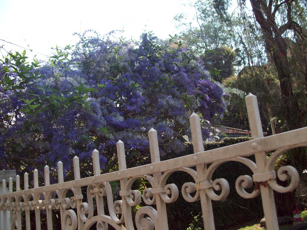Carramanchao