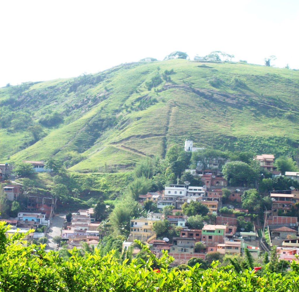 Bairro Grama ou Vila Salutaris