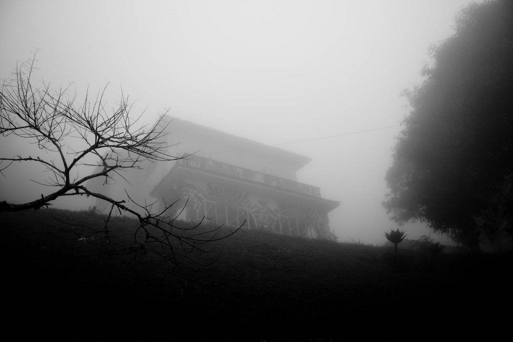 Neblina - Fog