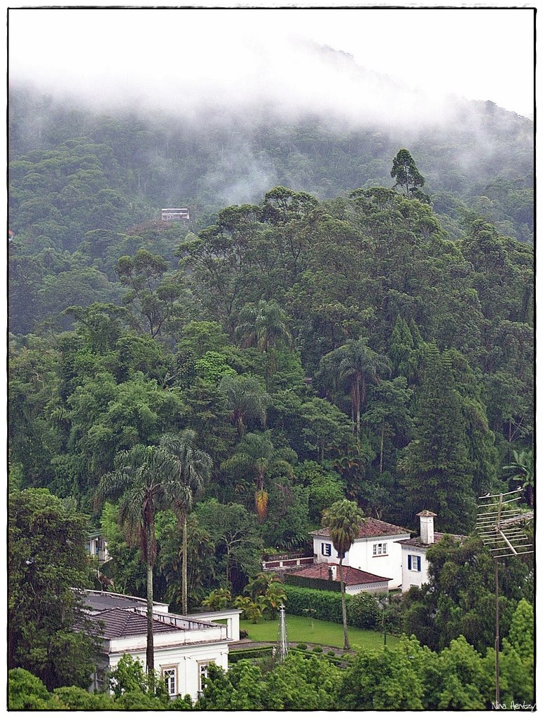 Av. Koeler_Paisagem