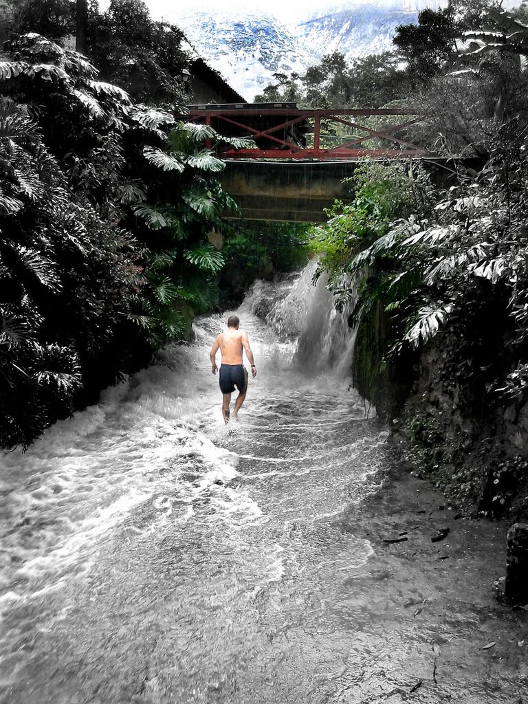 Slava Uses the Guest Shower, Petropolis