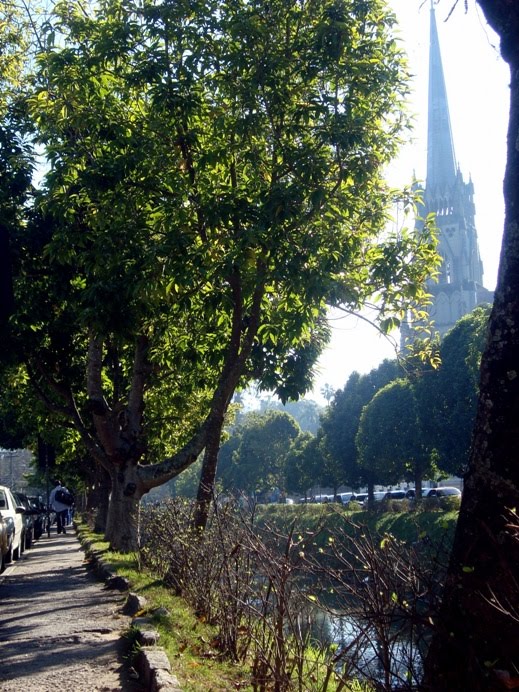 Torre da Catedral de Petrópolis ao fundo / Cathedral tower in the background