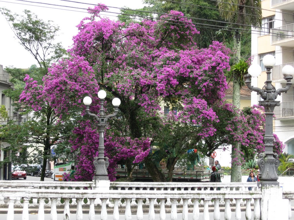 Petropolis