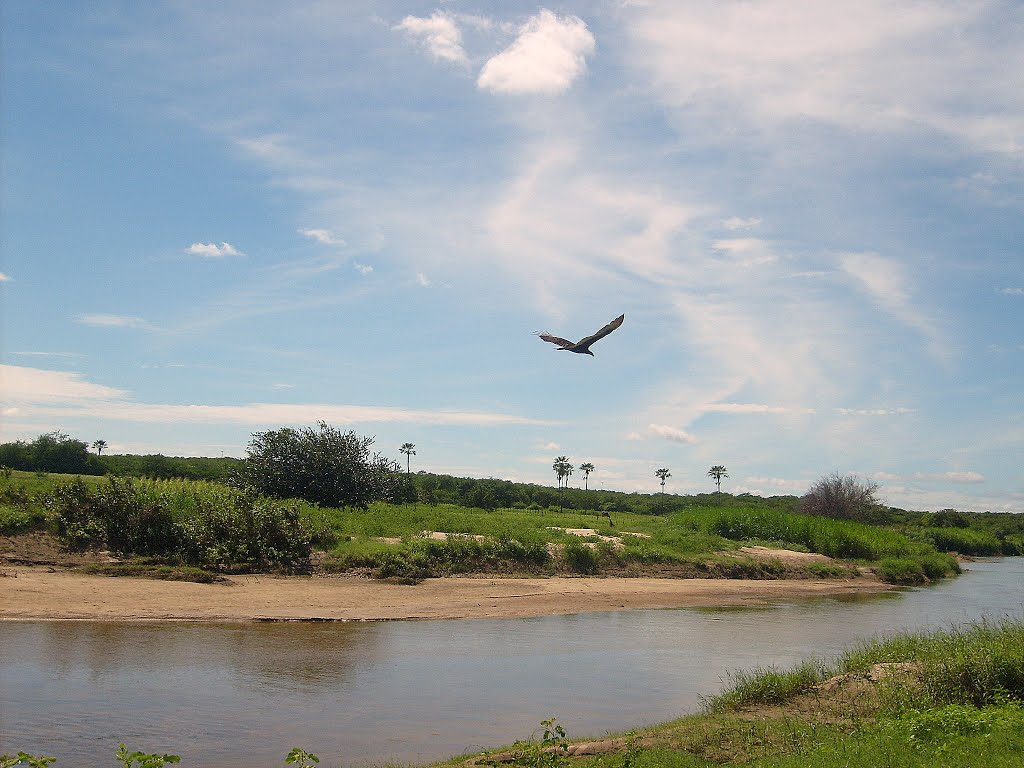 Voar sobre o rio... Mineiro 2009