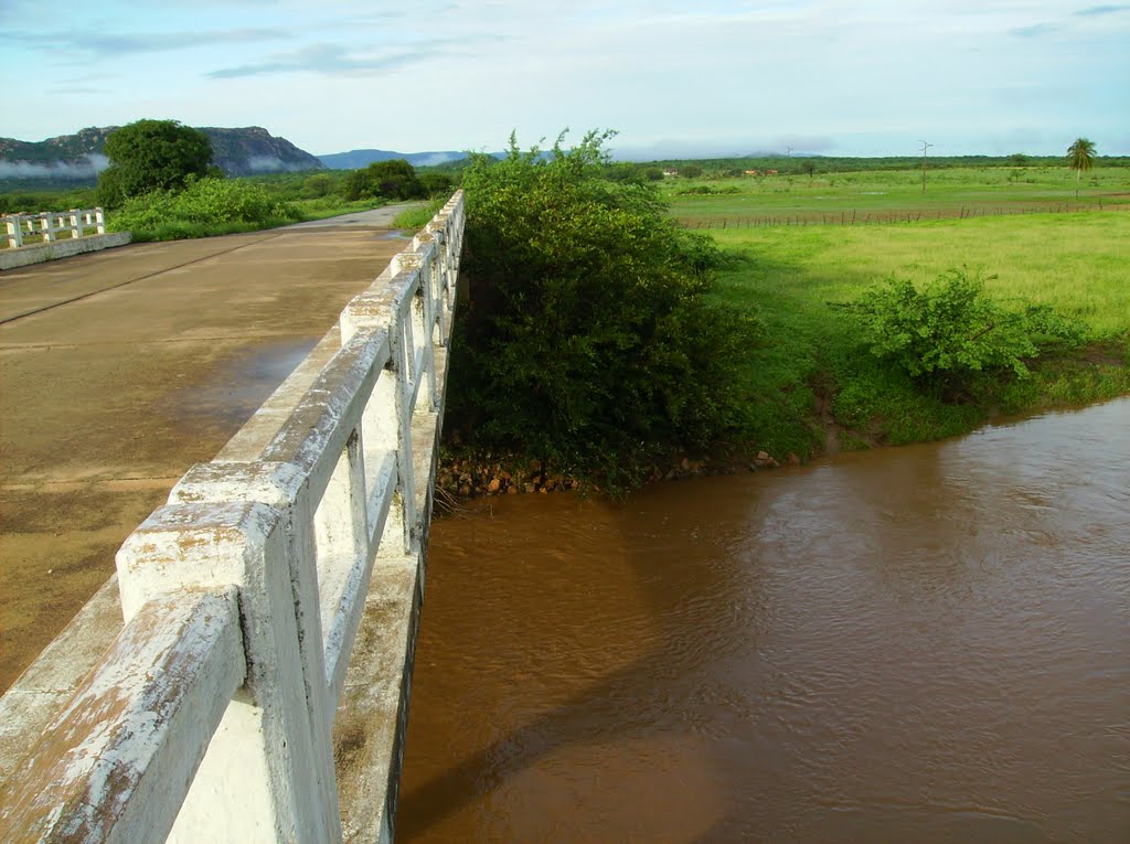 Ponte