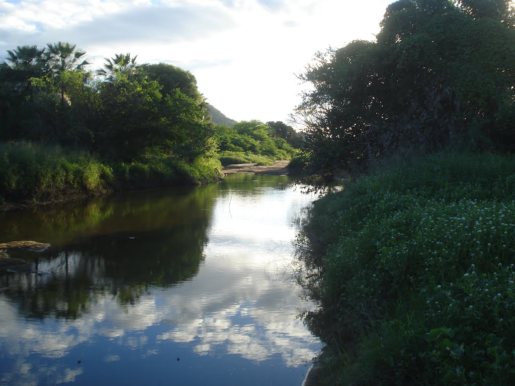 Manhã de Domingo