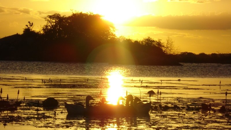 Pôr-do-sol , Açudes do sertão.(Northeastern - Brazil)