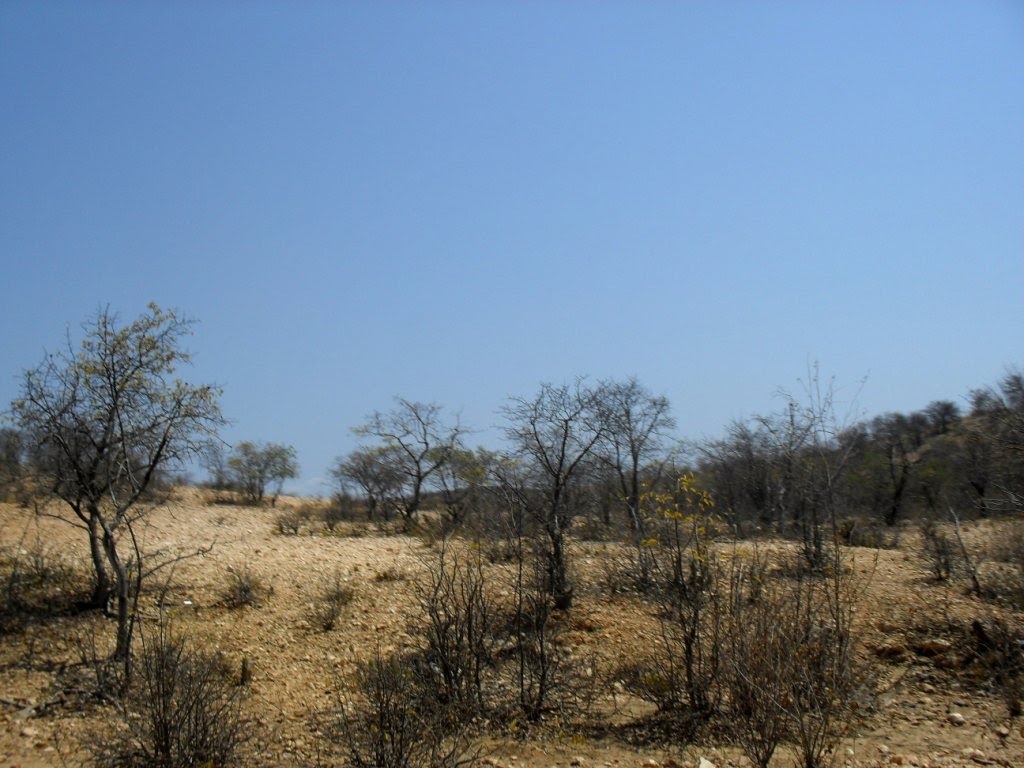 Angicos