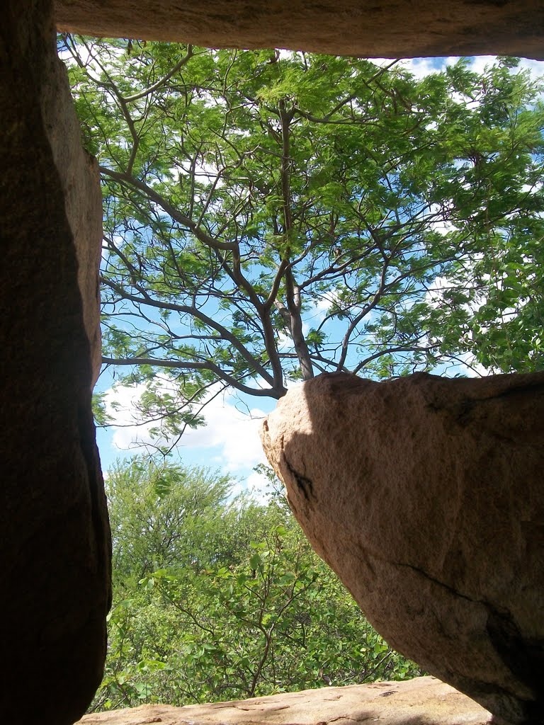 Moldura do sertão verde